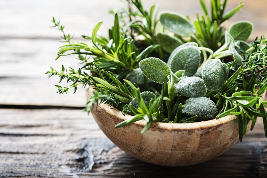 Herbs That Can Improve Your Life