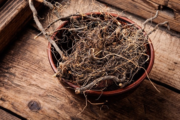 Valerian Root