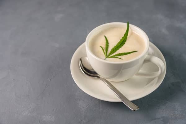 Coffee Creamer Alternatives