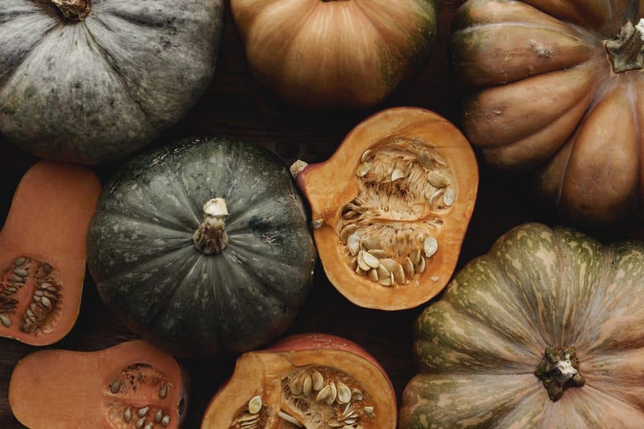 Squash