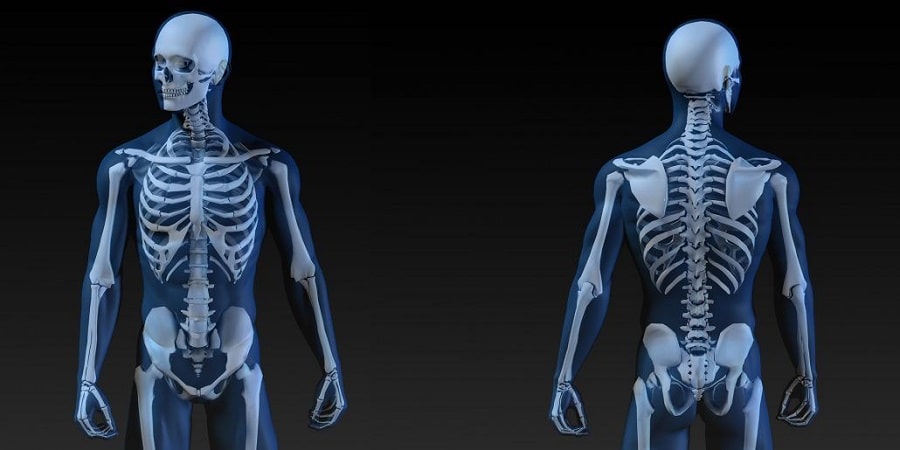 Bones, Joints, And Beyond: A Deep Dive Into Skeletal Health