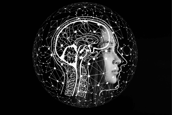 Health Benefits From Drinking Tea