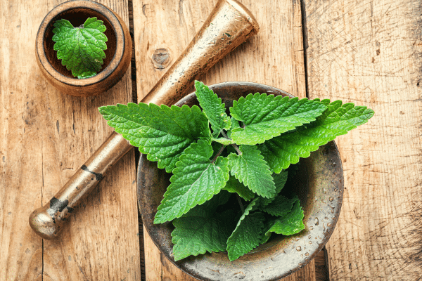 Herbs That Help Relieve Tension