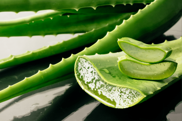Benefits Of Aloe Vera