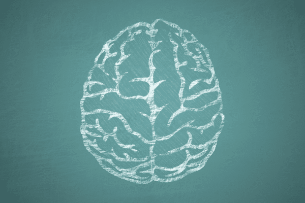 How Your Gut Health Is Linked To Your Mental Health