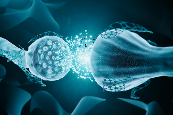 How Your Gut Health Is Linked To Your Mental Health