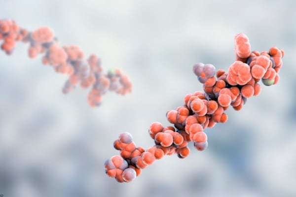 The Role Of Hormones In Your Health